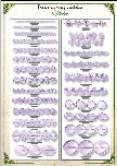 Catalogue cristal violet